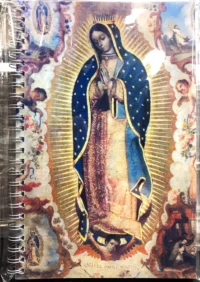 Our Lady of Guadalupe Journal