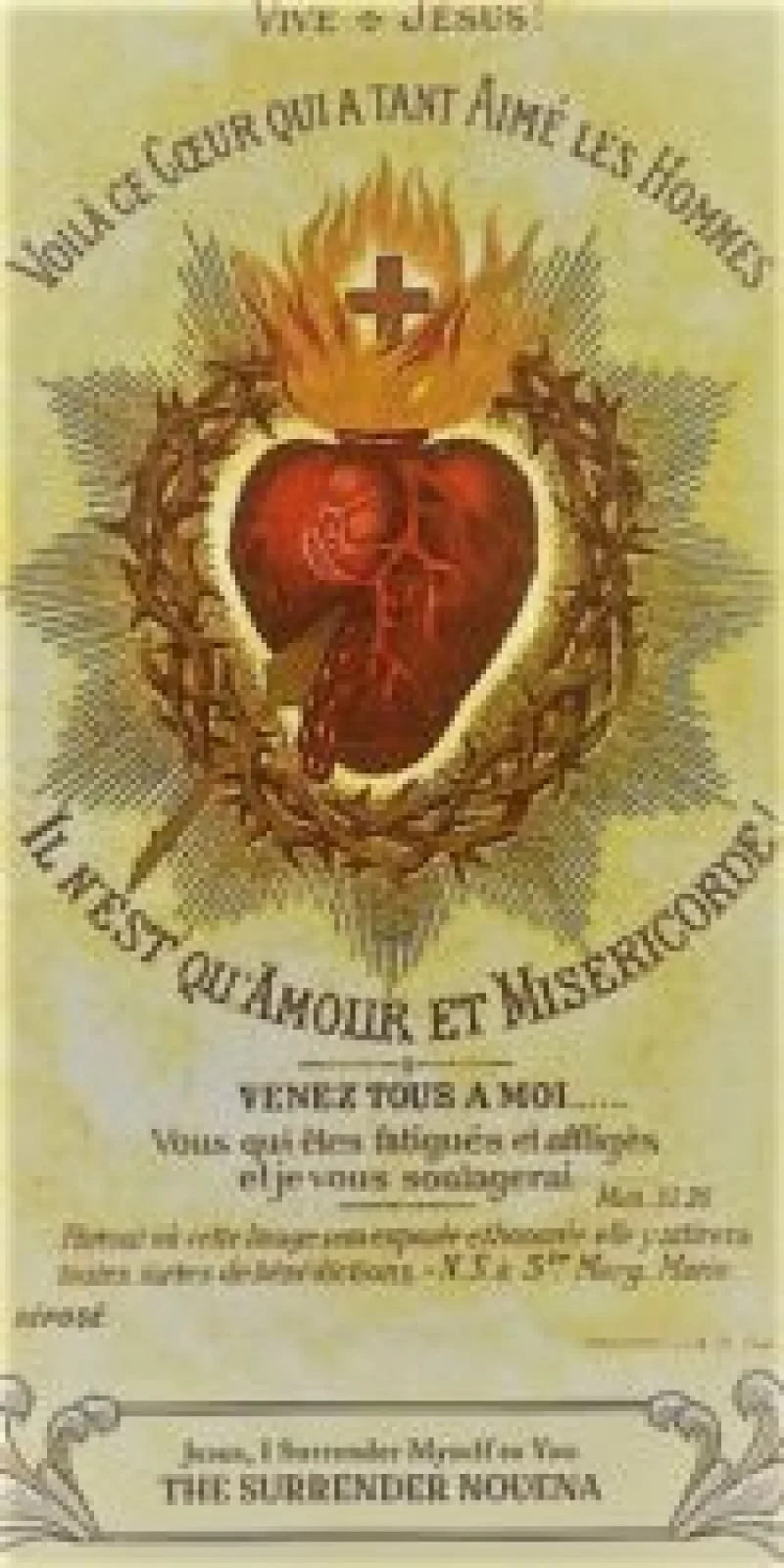 Surrender Novena