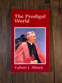 The Prodigal World
