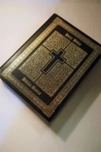 Douay-Rheims Clementina Vulgata Bible